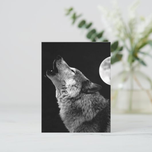 Carte Postale BW Wolf Howling at Moon (Debout devant)