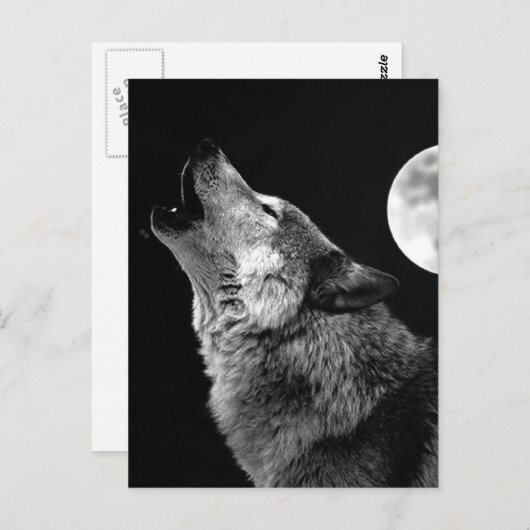 Carte Postale BW Wolf Howling at Moon (Devant / Derrière)