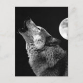Carte Postale BW Wolf Howling at Moon (Devant)