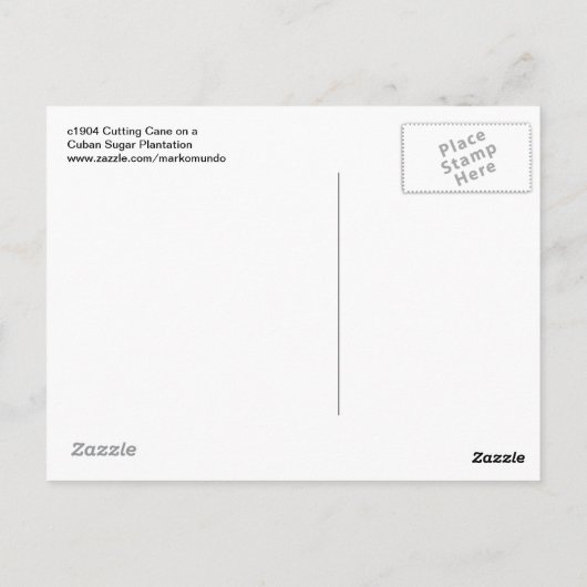 Carte Postale c1904 Cutting Cane on a Cuban Sugar Plantation (Dos)