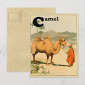 Carte Postale C est pour le chameau - Alphabet Animal (Devant / Derrière)