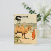 Carte Postale C est pour le chameau - Alphabet Animal (Debout devant)