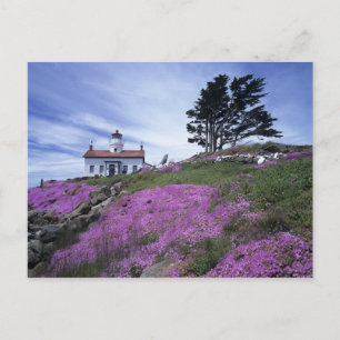Carte Postale CA, Crescent City, phare de Battery Point avec