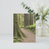 Carte Postale CA, Jedediah Smith State Park, Simpson-Reed (Debout devant)