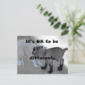 Carte Postale Ça va d'être différent (Debout devant)