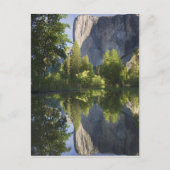 Carte Postale CA, Yosemite NP, El Capitan reflété dans Merced (Devant)