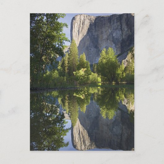 Carte Postale CA, Yosemite NP, El Capitan reflété dans Merced (Devant)