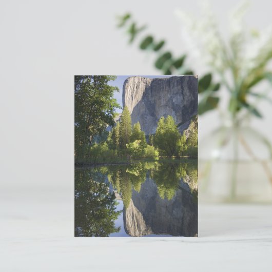 Carte Postale CA, Yosemite NP, El Capitan reflété dans Merced (Debout devant)