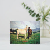 Carte Postale Caballos/Cabalos/Chevaux (Debout devant)