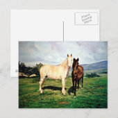 Carte Postale Caballos/Cabalos/Chevaux (Devant / Derrière)