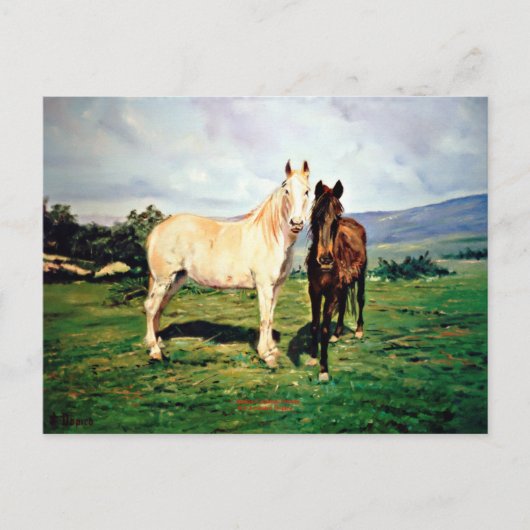 Carte Postale Caballos/Cabalos/Chevaux (Devant)