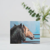 Carte Postale Caballos/Cabalos/Chevaux (Debout devant)