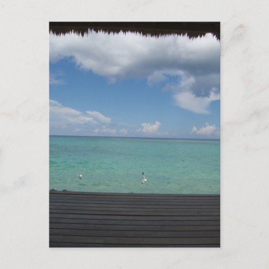 Carte postale Cabana à chaume (Devant)