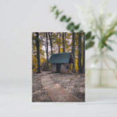 Carte Postale Cabane rustique en forêt avec chemin de pierre (Debout devant)