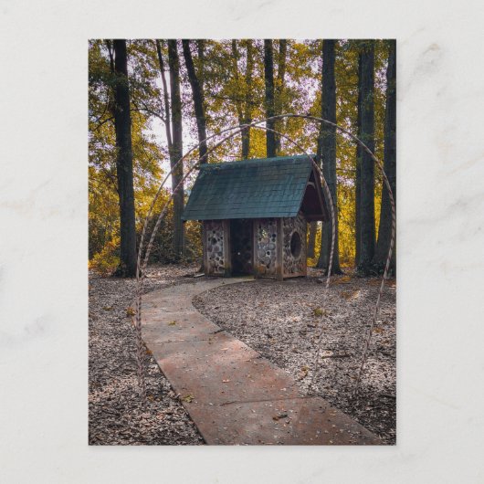 Carte Postale Cabane rustique en forêt avec chemin de pierre (Devant)