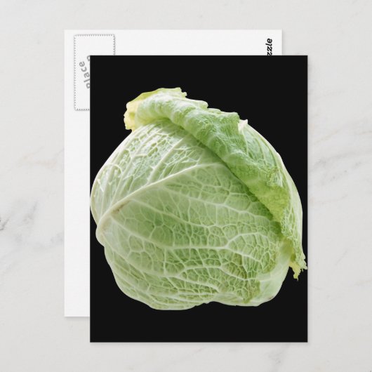 Carte postale Cabbage (Devant / Derrière)