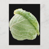 Carte postale Cabbage (Devant)