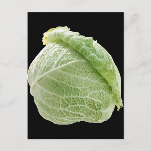 Carte postale Cabbage (Devant)