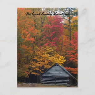 Carte Postale Cabine dans les bois