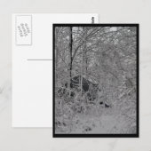 Carte Postale Cabine dans les bois (Devant / Derrière)