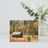 Carte Postale Cabine d'automne (Debout devant)