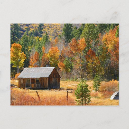 Carte Postale Cabine d'automne (Devant)