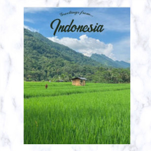 Carte Postale Cabine de bambou dans un champ de riz en Indonésie