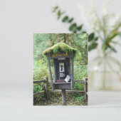Carte Postale Cabine de téléphone couverte de la mousse (Debout devant)