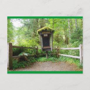 Carte Postale Cabine de téléphone Mossy - Forêt de pluie Hoh