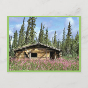 Carte Postale Cabine du journal Canyon Village
