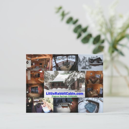 Carte postale Cabine Little Rabbit (Debout devant)