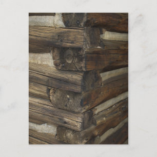 Carte Postale Cabine Pioneer en bois