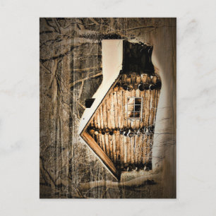 Carte Postale Cabine Rustique En Bois Dans La Nature