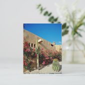 Carte Postale Cabo San Lucas, Baja, fleurs du Mexique (Debout devant)