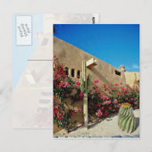 Carte Postale Cabo San Lucas, Baja, fleurs du Mexique (Devant / Derrière)