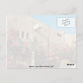 Carte Postale Cabo San Lucas, Baja, fleurs du Mexique (Dos)