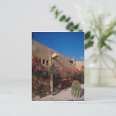 Carte Postale Cabo San Lucas, Baja, Mexique (Debout devant)