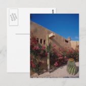 Carte Postale Cabo San Lucas, Baja, Mexique (Devant / Derrière)