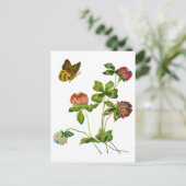 Carte Postale Cabot irlandais brodé (Debout devant)