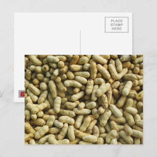 Carte Postale cacahuètes (Devant / Derrière)