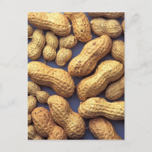 Carte Postale cacahuètes (Devant)