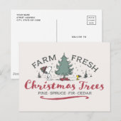 Carte Postale cacahuètes | Arbres de Noël frais de ferme (Devant / Derrière)