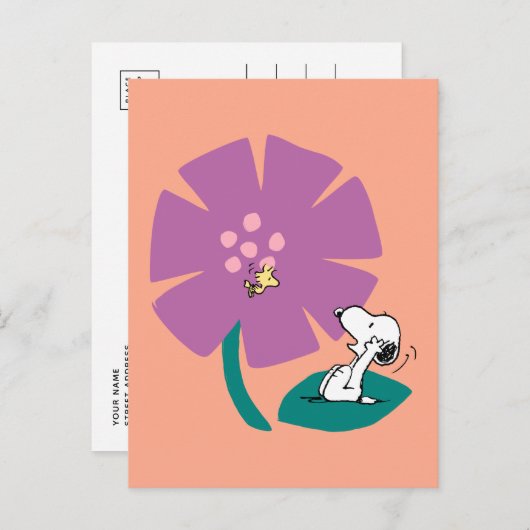 Carte Postale Cacahuètes | Fleur violette illustrant la nature (Devant / Derrière)