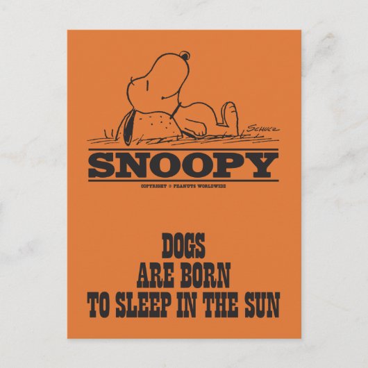 Carte Postale cacahuètes | Snoopy Dormir dans le soleil (Devant)