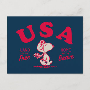 Carte Postale cacahuètes   Snoopy USA Land of the Free
