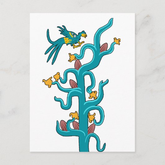 Carte Postale Cacao et Quetzal (Devant)