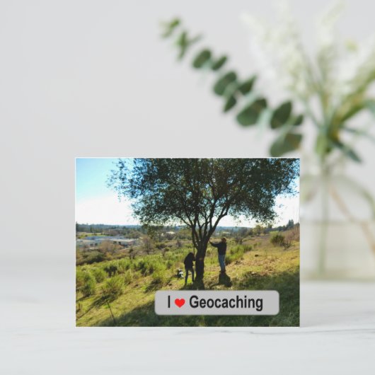 Carte Postale Cache du cintre de l'arbre dans Geocaching (Debout devant)