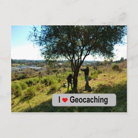 Carte Postale Cache du cintre de l'arbre dans Geocaching (Devant)