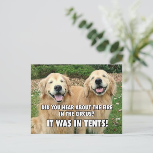 Carte Postale (Caché) Funny Golden Retriever Circus Fire Joke (Debout devant)