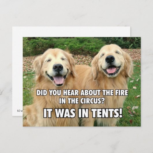 Carte Postale (Caché) Funny Golden Retriever Circus Fire Joke (Devant / Derrière)